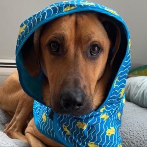 Meet your Posher, Julia